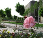 ‌علوم ریاضی