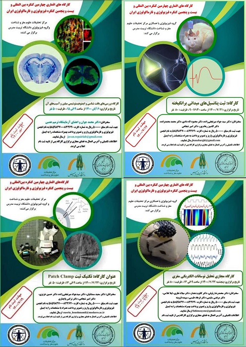  برگزاری کارگاه های اقماری در حوزه علوم مغز و شناخت