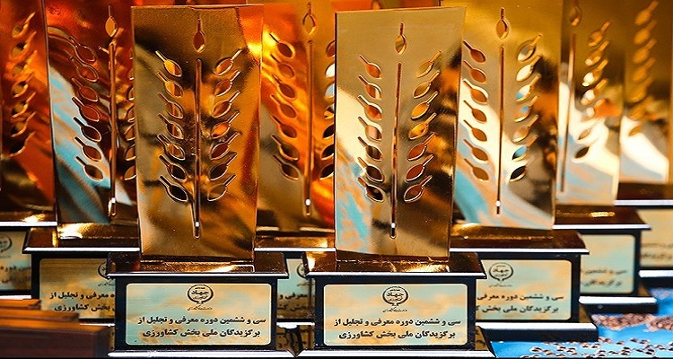 عضو هیأت علمی پردیس کشاورزی به عنوان برگزیده ملی در حوزه تولید محصولات گلخانه ای معرفی شد