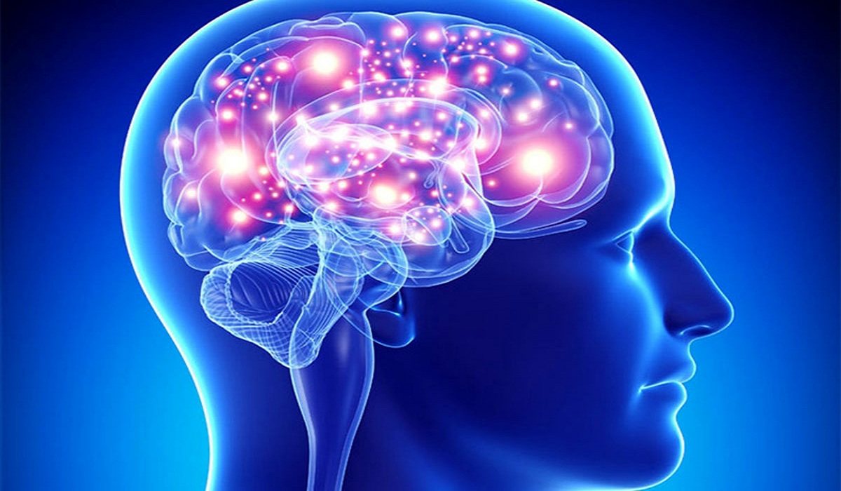 پیش بینی سن مغز با استفاده از یک روش رگرسیونی تجمیعی عمیق مبتنی بر چند اطلس مغزی