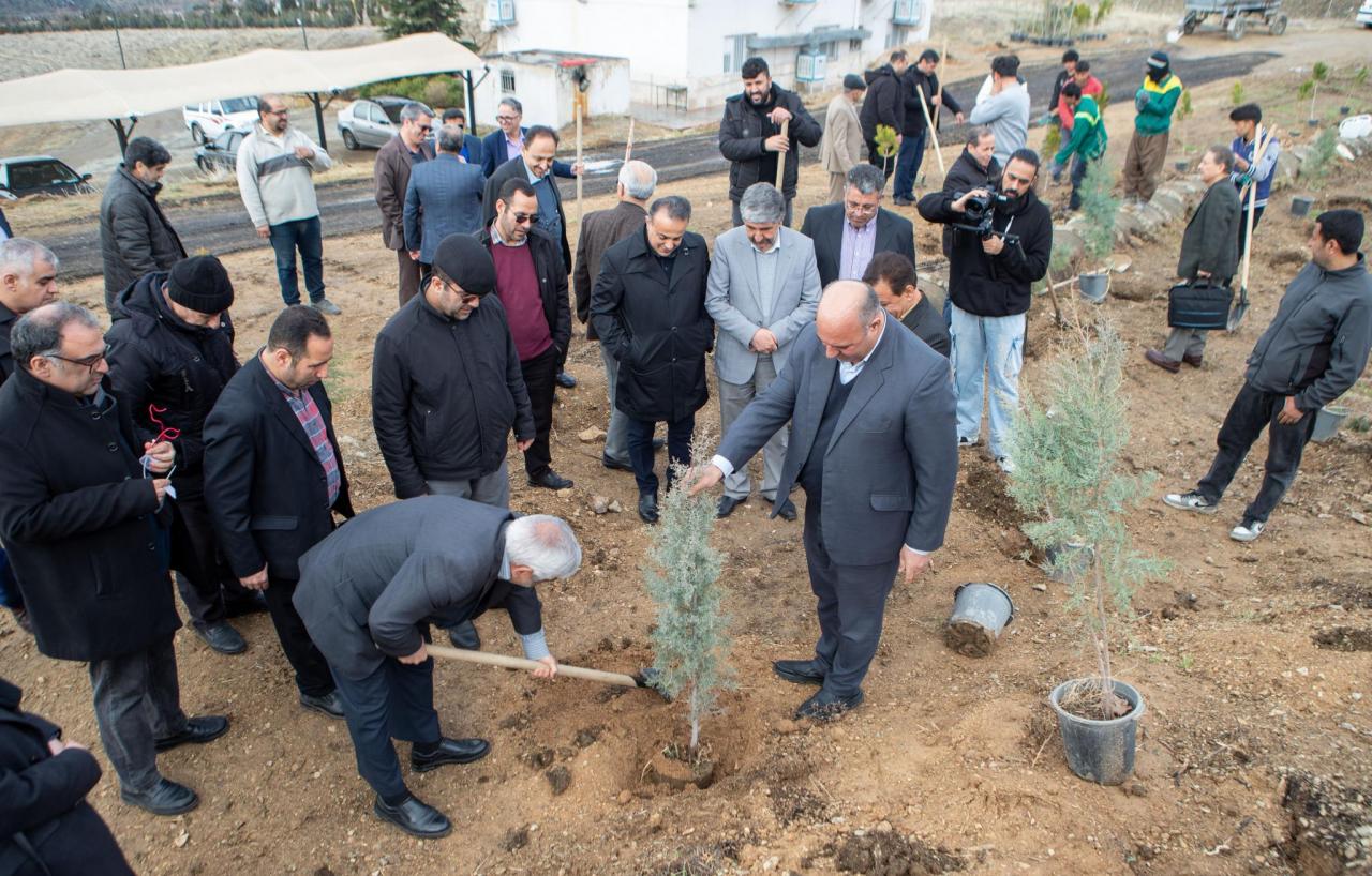 مراسم کاشت نهال در پارک علم و فناوری دانشگاه برگزار شد