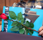 اطلاعیه‌ مدیریت امور ورزشی؛ ویژه دانشجویان نوورود