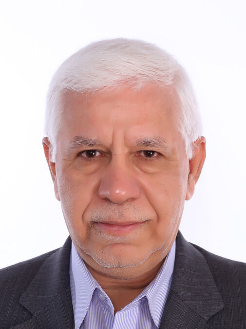 Mohsen  Mohammadzadeh Darrodi 